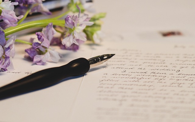 Journal and fountain pen with clips and small stationery tools on ivory background