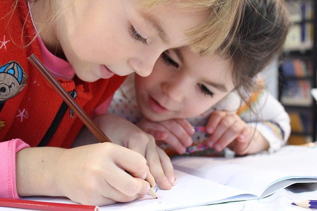 Mechanical pencil with fine lead and precise grid paper